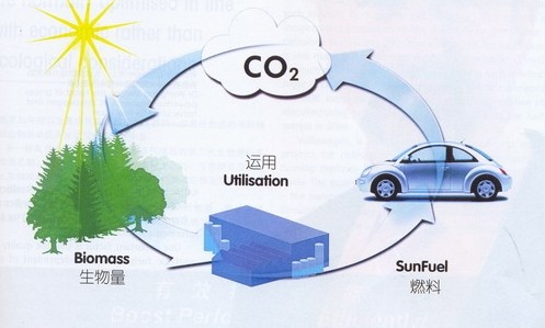 ����ɭ���ڜyԇ��������ȼ��