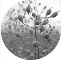 �j�{���ͺ���ȼ�ϫ@��������